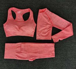 2020 Women Seamless yoga set Fitness Sports Suits GYM Cloth Yoga Long Sleeve Shirts High Waist Running Leggings Workout clothing9064740