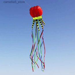 Kite Accessories free shipping 8m jellyfish kites flying for adults kites line nylon kites factory professional outdoor games for adults parachut Q231104