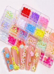 6 Grids 3D Acrylic Flower Nail Art Decorations Mixed Florets Charms Jewelry Color Changed Gem Beads DIY Nails Accessories4434348