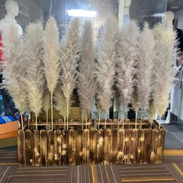 Decorative Flowers 80-120cm Large Pampas Grass Fluffy Natural Dryness Wedding Bouquet Tall Dry Flower Ceremony Modern Home Garden