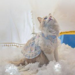 Cat Costumes Pet Clothes Dress Summer Thin Lolita Skirt Cute Dog Spring And Autumn Style Hair-proof Dowry Accessories Up Tool