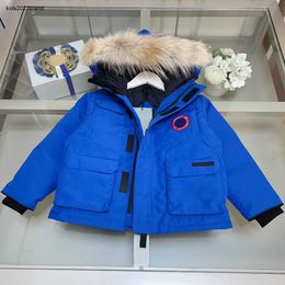 New Winter baby Jacket Complete labels down kids coat Size 110-150 Windproof design plush collar child overcoat Nov05