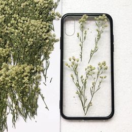 Decorative Flowers 60pcs Pressed Dried Conyza Canadensis Flower Grass Plant Herbarium For Jewelry Bookmark Postcard Phone Case Invitation