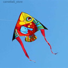 Kite Accessories free shipping fish kites paragliding wind kites for children inflatable toys windsurf flying kites Colourful kit free shipping Q231104