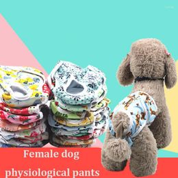 Dog Apparel Printed Panties Waterproof Reusable Female Anti-harassment Physiological Pants Underwear Shorts Safty Sanitary Costume