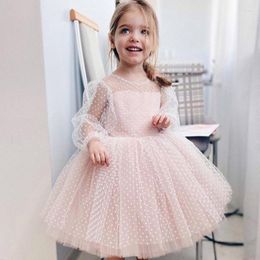 Girl Dresses Mesh Long Sleeve Princess Dress For Girls Fashion O-neck Big Bow Birthday Party Children's Summer Kids Wedding Dre