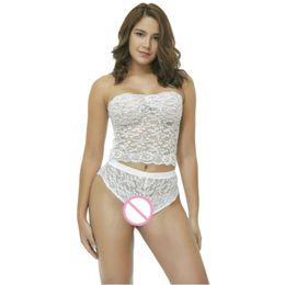 Sexy Costume Erotic Underwear Women Sexy Lingerie Set Transparent Bodycon Bustier Corset See Through Porn Lace Panties for Sex Printed Briefs