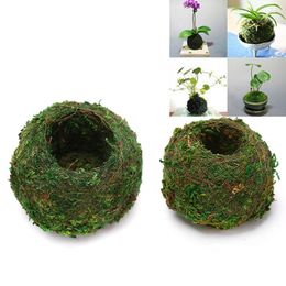 Decorative Flowers 6/9CM Green Moss Ball Flower Pot Bonsai DIY Gardening Home Table Decoration