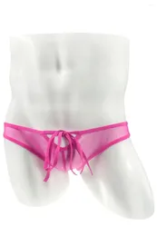 Underpants Men'S Sissy Underwear Transparent Briefs Sexy Mesh Strap Soft Comfortable Triangle Pants Bikini Gay Slips Cueca Calzoncillos