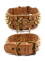 Luxury Designer Retro Antibite Bronze Spiked Rivet Dog Collars Adjustable Pu Leather 3 Colours 2 Sizes for Big Dogs L Sharp Brow4640304