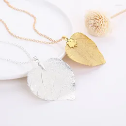 Pendant Necklaces 2023 Natural Heart Shaped Leaf Specimen Necklace Creative Women Men Plant Sweater Chain Jewellery Wholesale