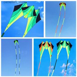Kite Accessories free shipping new design 3d nylon kite adult kite flying toys with kite reel line free wei kite free Q231104