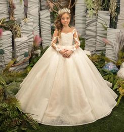 Girl Dresses Flower Dress White Fluffy Tulle Lace Applique Backless Wedding Lovely Child's First Eucharistic Birthday Party