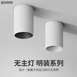 Ceiling Lights Flush Mount Light Fixtures Decorative Kitchen Industrial