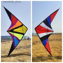 Kite Accessories Free shipping dual line stunt kites flying power kites factory adults kites line kitesurfing full set power kite toy sport flies Q231104