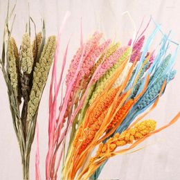 Decorative Flowers 10PCS Grain Wheat Ears Dried Natural Bouquet Wedding Marriage Decoration DIY Real Plant Flower Material Room Decor