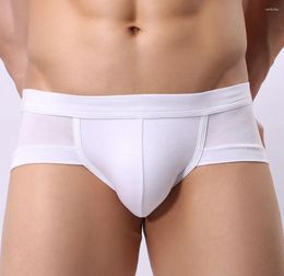 Underpants Men's U Convex Pouch Underwear Youth Fashion Bottom Briefs Sexy Aro Pants Low Waist Bottoms Shorts Trunks Teenager Panties