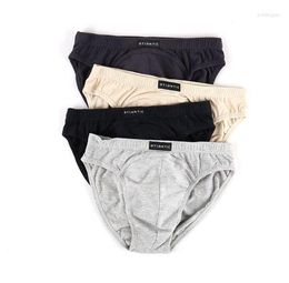 Underpants Men Underwear Set Briefs Soft Cotton Sexy Breathable Dual Pouch Brief