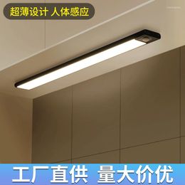 Ceiling Lights Intelligent Human Body Induction Led Light Rechargeable Wireless Long Strip Kitchen Wine Cabinet Wardrobe