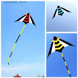 Kite Accessories free shipping delta kites flying toys for children kite reel outdoor fun for kids bee kites nylon bird kites albatross kites Q231104