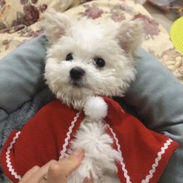 Dog Apparel Clothes Christmas Mini Skirt Cloak Red Teddy Cat Princess Decoration Net