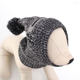 Dog Apparel Puppy Beanie Hat Windproof Medium Cat Warm Outdoor Cold Protection Cap Headgear