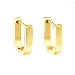 Hoop Earrings Simple Oval U-Shaped For Women Men Gold Colour Stainless Steel Chunky Huggie Cartilage Earring Fashion Jewellery