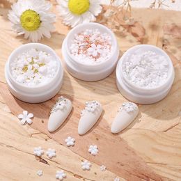 Nail Art Decorations White Five Petal Flower Exquisite Fashion Charms Resin Jewellery Women Girls DIY Manicure Accessories