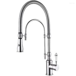 Kitchen Faucets Titanium Spring Cold And Faucet All Copper Shower Dual Outlet Vegetable Basin Sink