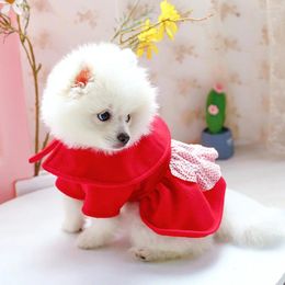 Dog Apparel Cute Princess Dress Winter Costume Woolen Puppy Coat Warm Jacket Festival Hooded Clothes For Pet Little