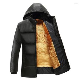 Men's Down Cotton Thickening Male Money Increases Thermal Comfort Cotton-padded Jacket