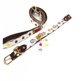 Luxury Brown Pet Collars Leather Popular Print Dog Leashes Fashion Pet Neck3080308