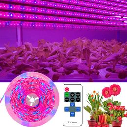 Strips Phyto LED Plant Light Strip Growth Lamp 2835 Full Spectrum Hydroponic Tape For Seeds Plants Grow Greenhouses WaterproofLED StripsLED