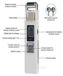 Microcurrent Galvanic Facial Massager Anti Aging Reduce Wrinkle Skin Tightening Face Lift Firming Machine Home Spa Use 2205203530971