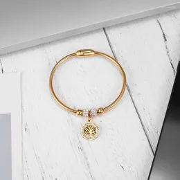 Bangle Moocare Stainless Steel Women's Colored Zircon With Fashion Hang Tag Chain Invisible Magnetic Buckle