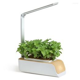 Grow Lights LED Plant Light Phyto Lamp Spectrum Hydroponic Growing System Greenhouse Growth Lamps For Plants Seeds Vegetables