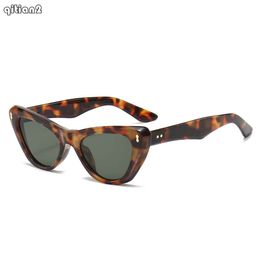 Leopard Print Cat Eye Sunglasses, hallowee Trendy Rivet Decorative Glasses, New Men and Women