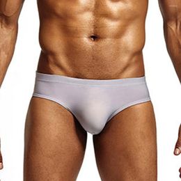 Underpants Ice Silk Mens Briefs Low-Rise Penis Big Pouch Bulge Panties Solid Underwear Elastic Breathable Lingerie Bikini