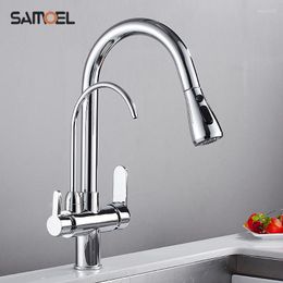 Kitchen Faucets Brass Water Philtre Mixer Taps Silver Chrome Finish Three Way Dual Handle Pull Out Sink Faucet B3322