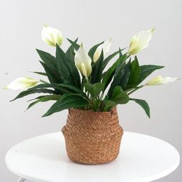 Decorative Flowers Unique Simulation Flower Durable Eye-catching 2 Colours Elegant Realistic Artificial Spathiphyllum