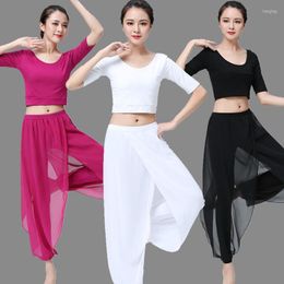 Stage Wear Adults Women Dance Pants For Yoga Ballet Harem Chinese Folk Classical Chiffon Ballroom Practice
