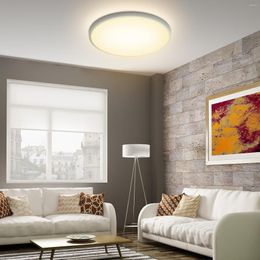 Ceiling Lights 2023 LEDs Light Flush Mounting 24W 28W 38W 48W 4320lm Round Lamp For Kitchen Bedroom Hallway Warm / White