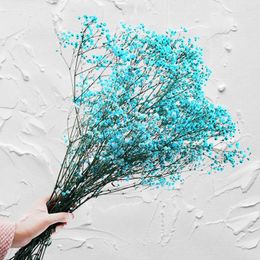 Decorative Flowers Natural Gypsophila Dried Flowers: Real Breath Flower Stem Picks Branch Spray Vase Fillers Nordic Home Decor