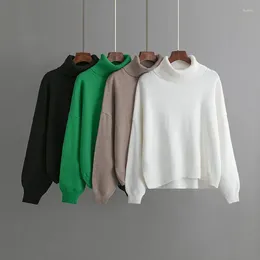Women's Sweaters 2023 Autumn/Winter High Neck Loose Knit Sweater For Women