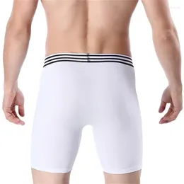 Motorcycle Apparel Noble Quality Extended Underwear Fashion Mens Comfortable Long Sports Shorts Large Size Soft Cycling Briefs