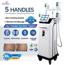 Cryo Body Sculpting Machine 5 Handle Fat Freezing Slimming Machine Non-invasive Lowest Temperature Double Chin Removal Shaping Figure Cellulite Reduction