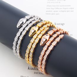 Gold Plated Snake Bangle Bracelets for Women Men Charm Infinity Diamond Tennis Wedding Gifts Original edition