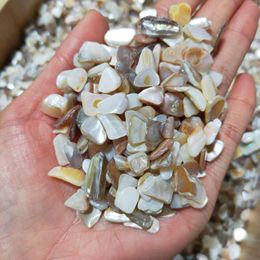 Decorative Figurines Natural Crystal Irregular Shell Stone Mineral Healing Gravel Specimen Suitable For Aquarium Home Decor Crafts