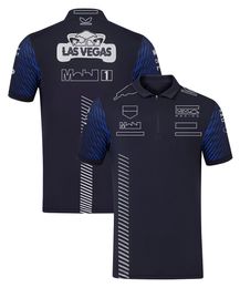 Vestuário 2023 F1 Racing Team Camiseta Especial Fórmula 1 Driver Camisas Polo Camisetas Nova Temporada Corrida Roupas Esportivas Fãs Tops Mens Jersey