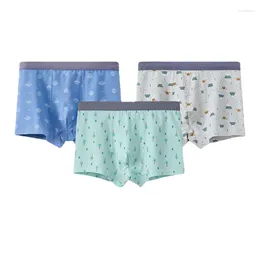 Underpants Men's Underwear Boys Cotton Boxers Loose Breathable Shorts And Teenagers Boyshort Head Models.